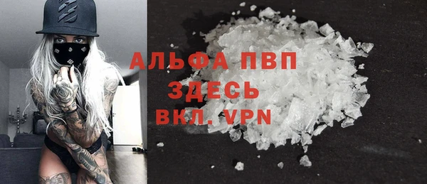 PSILOCYBIN Беломорск